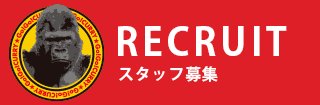 スタッフ募集